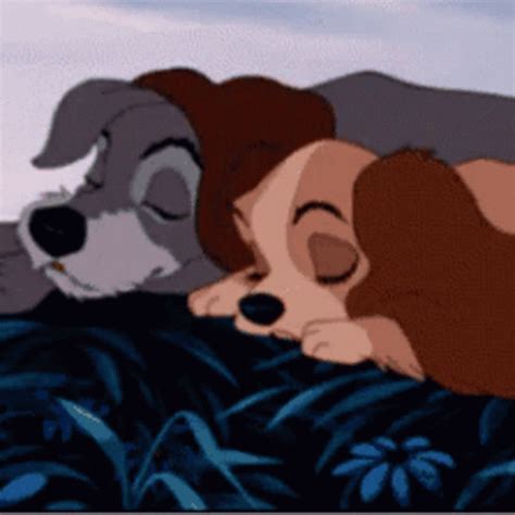 Lady And The Tramp GIF - Lady And The Tramp - Discover & Share GIFs | Lady and the tramp ...