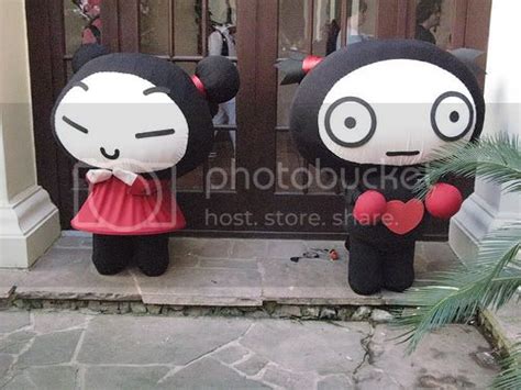 Pucca Costume