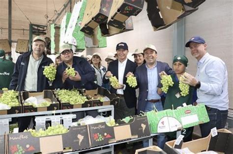 Chile kicks off 2023/24 grape campaign | Article | Fruitnet