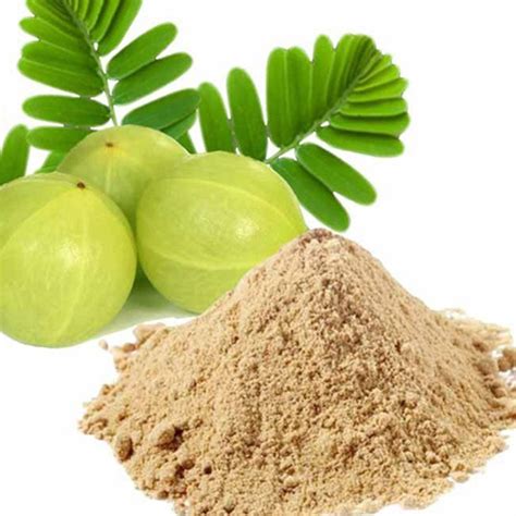 Light Brown Phyllanthus Emblica Amla Dry Extract, Packaging Type: Loose, Form: Powder at best ...