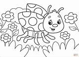 Ladybug coloring page  Free Printable Coloring Pages sketch template