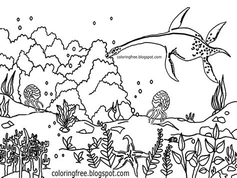 Ocean Ecosystem Drawing at GetDrawings | Free download