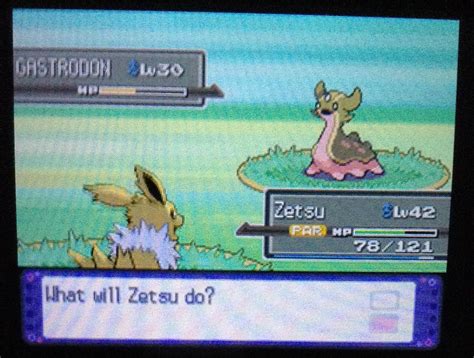 [4] Shiny Gastrodon in Platinum after 4 months of hunting! : r/ShinyPokemon