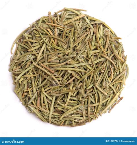 Dried Rosemary Leaves Stock Images - Image: 31373704