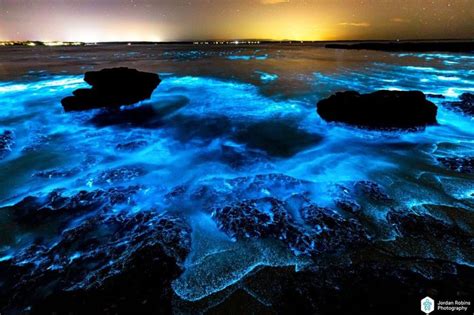 Bioluminescence lights up Jervis Bay on Anzac Day | Cool pictures of ...