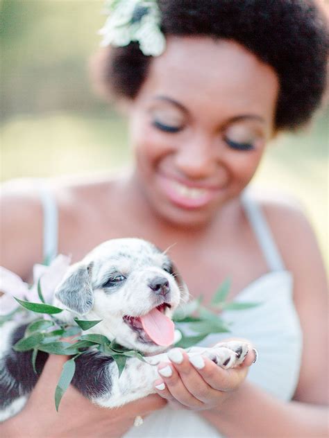 This Puppy Bouquet Shoot Is Ridiculously Adorable