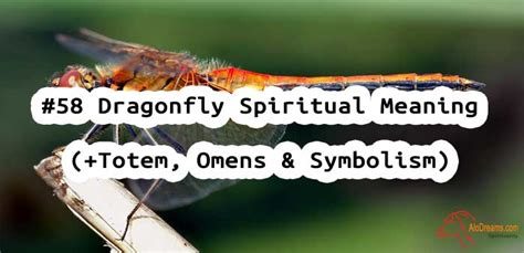 #58 Dragonfly : Spirit Animal – Meaning, Omens & Symbolism