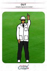 Cricket Umpire Signals: What They Mean Illustrated with Images