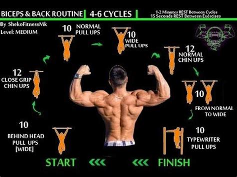 BodyWeight BACK & BICEPS Workout [Calisthenics Routine] | Calesthenics workout, Calisthenics ...