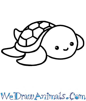 How to Draw a Cute Turtle