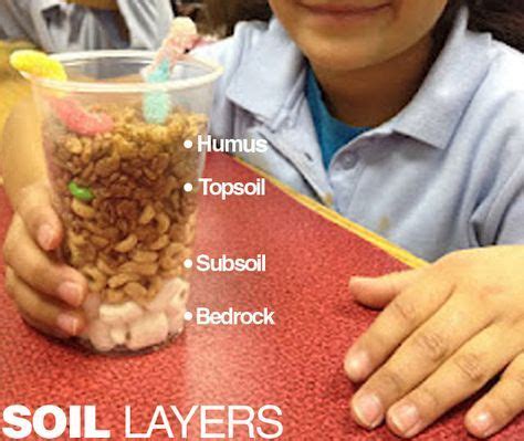 Edible soil layer activity. Students create their own visual for the different soil layers ...