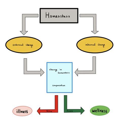 Homeostasis - Physiopedia