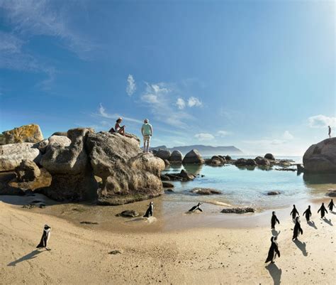 Best Time to Visit Cape Town | Go2Africa