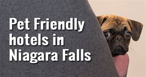 Pet Friendly Hotels Niagara Falls, Ontario, Canada - Reserve Now!