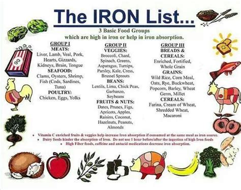 Anemia in Runners & Healthy Iron Rich Recipes | thefitfork.com