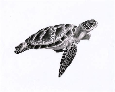 Sea turtle 1 by PunkyMeadows Dreieckiges Tattoos, Ocean Tattoos, Body ...