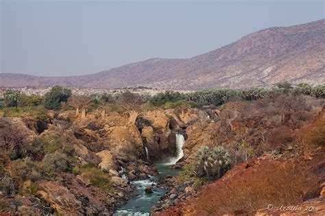 In Search of Crocodiles: The Kunene River, Namibia