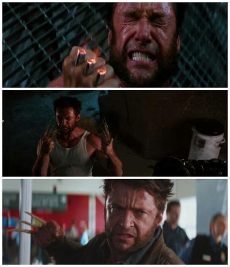 Best Of Wolverine Bone Claws Comics Photos