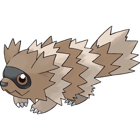 Zigzagoon | Pokemon GO Wiki - GamePress