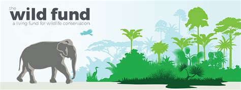 Launching The Wild Fund - Wild Earth Allies