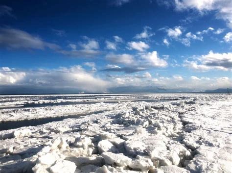 VIDEO: Ice as far as the eye can see at Boundary Bay - Richmond News