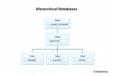 Hierarchical Database Model – NBKomputer