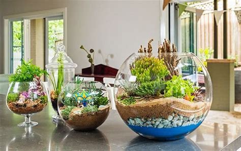 Top 14 DIY Mini Glass Terrarium Ideas Including Special Tips And ...