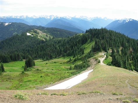 Hiking in the Pacific Northwest: Hurricane Ridge