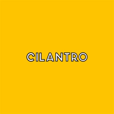 Cilantro Cafe | Jobiano