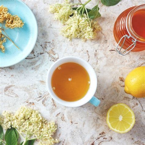 Elderflower Tea: An Easy Recipe + Healing Benefits - A Radiantly Healthy Life