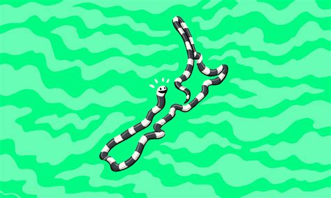 The banded sea krait is New Zealand’s sea snake | The Spinoff