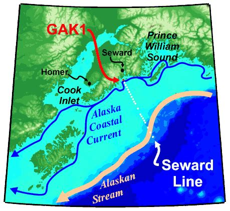 Gulf of Alaska Mooring (GAK1) | Gulf Watch Alaska