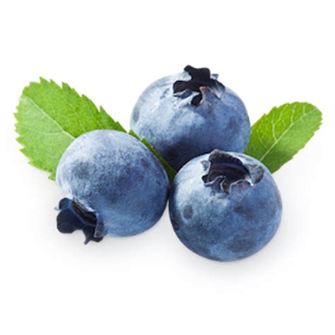 Blueberries PNG transparent image download, size: 540x540px