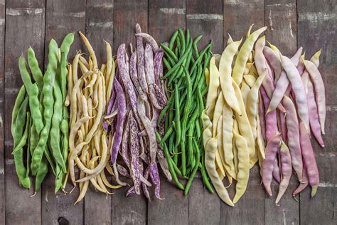 15 of the Best Types of Pole Beans | Gardener’s Path