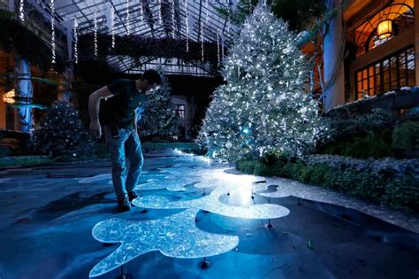 Longwood Gardens Christmas lights show open for 2021