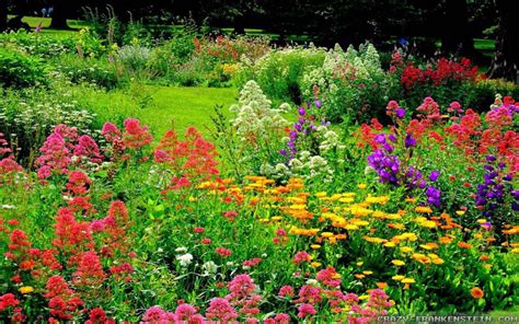 a garden filled with lots of colorful flowers