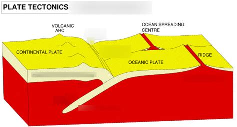 The Plate Tectonics Theory Diagram | Quizlet