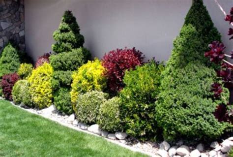 33 Wonderful Evergreen Landscape Ideas For Front Yard Exciting Room Layout In the second pr ...