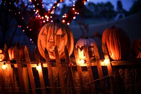5 Spooky Ideas to Decorate Your Fence this Halloween