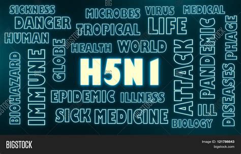 H5N1 Virus Relative Image & Photo (Free Trial) | Bigstock