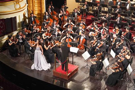 Japanese and Vietnamese artists to perform symphony concert