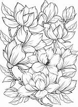Magnolia Flower Coloring Page Pages sketch template