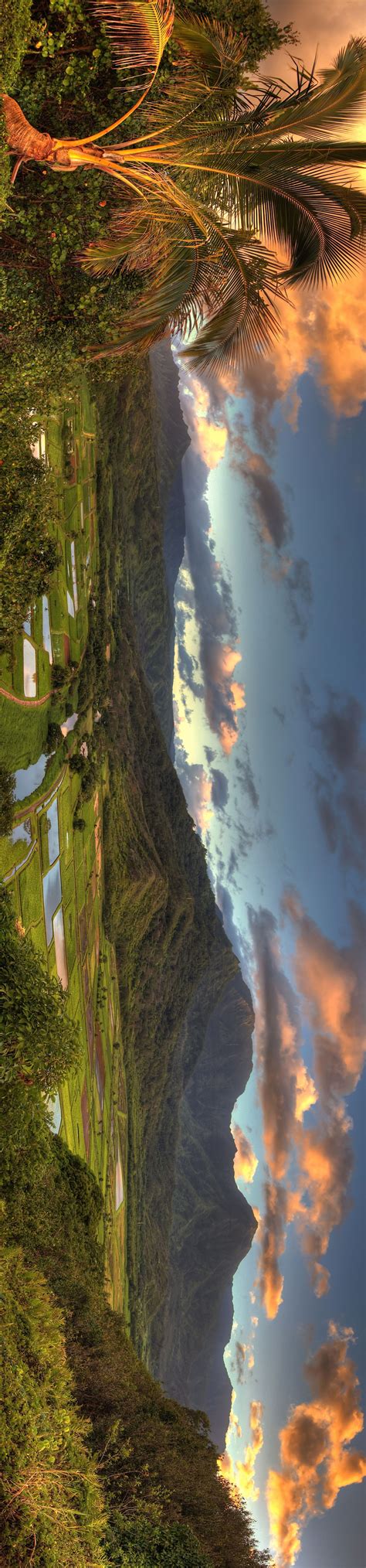 Hanalei Valley Lookout Panorama | Panorama photography, Panoramic ...