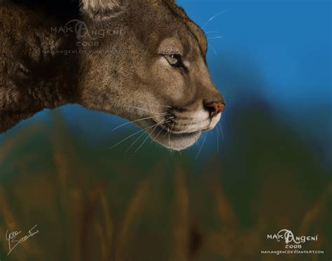 Predator eyes by makangeni on DeviantArt