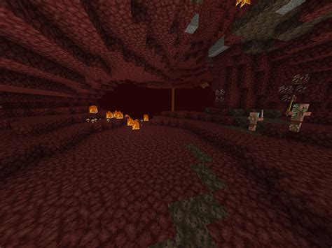 Nether Wastes | Minecraft Wiki | Fandom