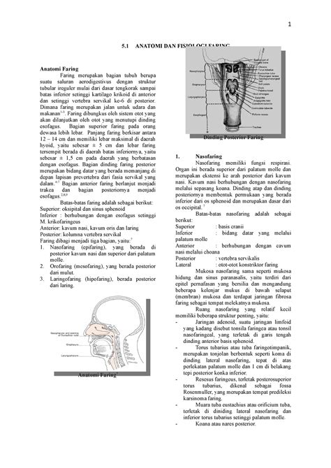 Anatomi dan Fisiologi Faring - Anatomi Faring Faring merupakan bagian tubuh berupa suatu saluran ...