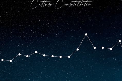 Cat Constellation Astrology Wall Art Stars Illustration | Etsy