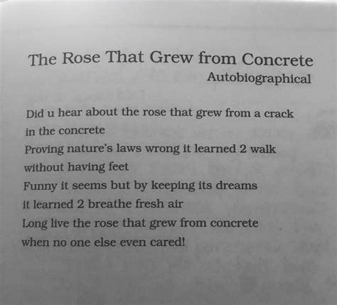 Tupac Poems Rose That Grew From Concrete