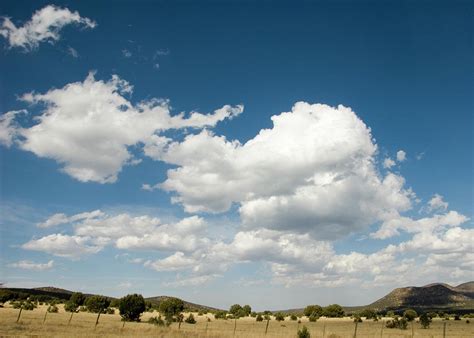 Clouds On Blue Texas Sky by Pacoromero