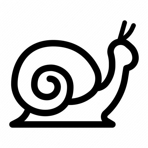 Mollusc, shell, snail icon - Download on Iconfinder